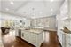265 E Marion, Elmhurst, IL 60126