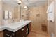 1 E Schiller Unit 16D, Chicago, IL 60610