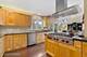 217 E 14th, Naperville, IL 60563