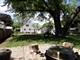 137 S Hickory, Palatine, IL 60067