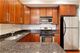 1100 N Paulina Unit 1W, Chicago, IL 60622