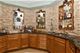 2319 Douglas, Des Plaines, IL 60018