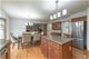 220 Lakeview, Aurora, IL 60506