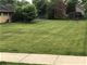 4020 Earlston, Downers Grove, IL 60515