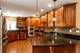 16543 S Catawba, Homer Glen, IL 60491