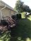 6332 W 94th, Oak Lawn, IL 60453