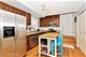 3607 N Bosworth Unit G, Chicago, IL 60613