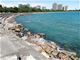 5300 S Shore Unit 21, Chicago, IL 60615