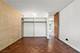 1243 E Madison Park, Chicago, IL 60615