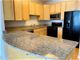 33 W Ontario Unit 40D, Chicago, IL 60654