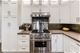 1108 W Webster Unit 1W, Chicago, IL 60614