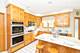 207 E Ryan, Arlington Heights, IL 60005