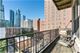 1439 S Michigan Unit 505, Chicago, IL 60605