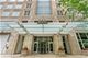 250 E Pearson Unit 2502, Chicago, IL 60611