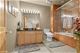 910 S Michigan Unit 1702, Chicago, IL 60605