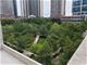 222 N Columbus Unit 2110, Chicago, IL 60601