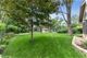 215 E Lynnwood, Arlington Heights, IL 60004