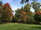 204 E Marion, Prospect Heights, IL 60070