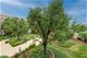 7243 Madison Unit 313, Forest Park, IL 60130