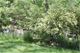 606 Legion, Algonquin, IL 60102