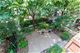 27 W 15th, Chicago, IL 60605