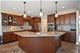 21230 Foxtail, Mokena, IL 60448