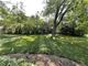 117 S Dorchester, Wheaton, IL 60187