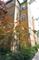 7631 N Greenview Unit 1F, Chicago, IL 60626