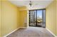 233 E 13th Unit 1701, Chicago, IL 60605