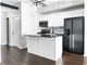 1430 S Michigan Unit 508, Chicago, IL 60605