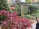 418 N Prospect, Park Ridge, IL 60068