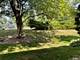 2242 Christian Unit 1B, Lisle, IL 60532