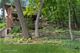 738 Crescent, Glen Ellyn, IL 60137