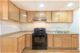 1127 W Argyle Unit 2, Chicago, IL 60640