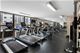 1313 N Ritchie Unit 1301, Chicago, IL 60610