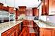 19802 Red Oak, Mokena, IL 60448