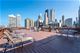 20 E Cedar Unit 4D, Chicago, IL 60611