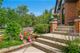 4135 Rose, Western Springs, IL 60558