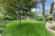 215 E Lynnwood, Arlington Heights, IL 60004