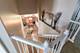 203 Mondovi, Oswego, IL 60543