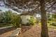 7911 W Metropole, Elmwood Park, IL 60707