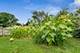 604 Nicholson, Joliet, IL 60435