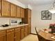 1600 E Thacker Unit 409, Des Plaines, IL 60016