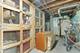 1531 N North Park, Chicago, IL 60610