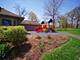 33148 N Cove, Grayslake, IL 60030