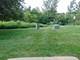 4126 Oak Tree, Plainfield, IL 60544