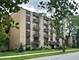 1623 Ashland Unit 2B, Des Plaines, IL 60016