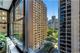 850 N Dewitt Unit 9B, Chicago, IL 60611