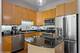 2036 W Warner Unit 102, Chicago, IL 60618