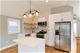 1347 W Ancona Unit 3, Chicago, IL 60642